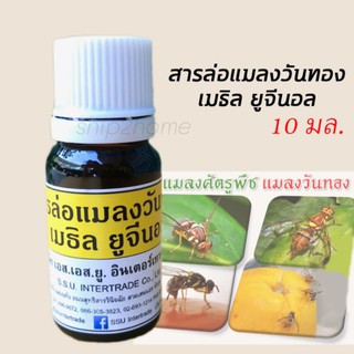 เมธิลยูจินอล สารล่อแมลงวันทอง ขวด 10ml