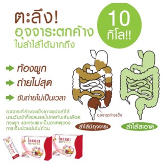 iBERRi PHYTO ไอเบอริไฟโต (ผลิตภัณฑ์อาหารเสริม)