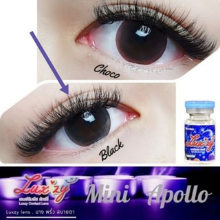 🌷สายธรรมชาติ 🌷 Mini Apollo Luxzylens คอนแทคเลนส์เกาหลี คอนแทคเลนส์ บิ๊กอาย bigeyes contactlens คอนแทคสายตา คอนแทค