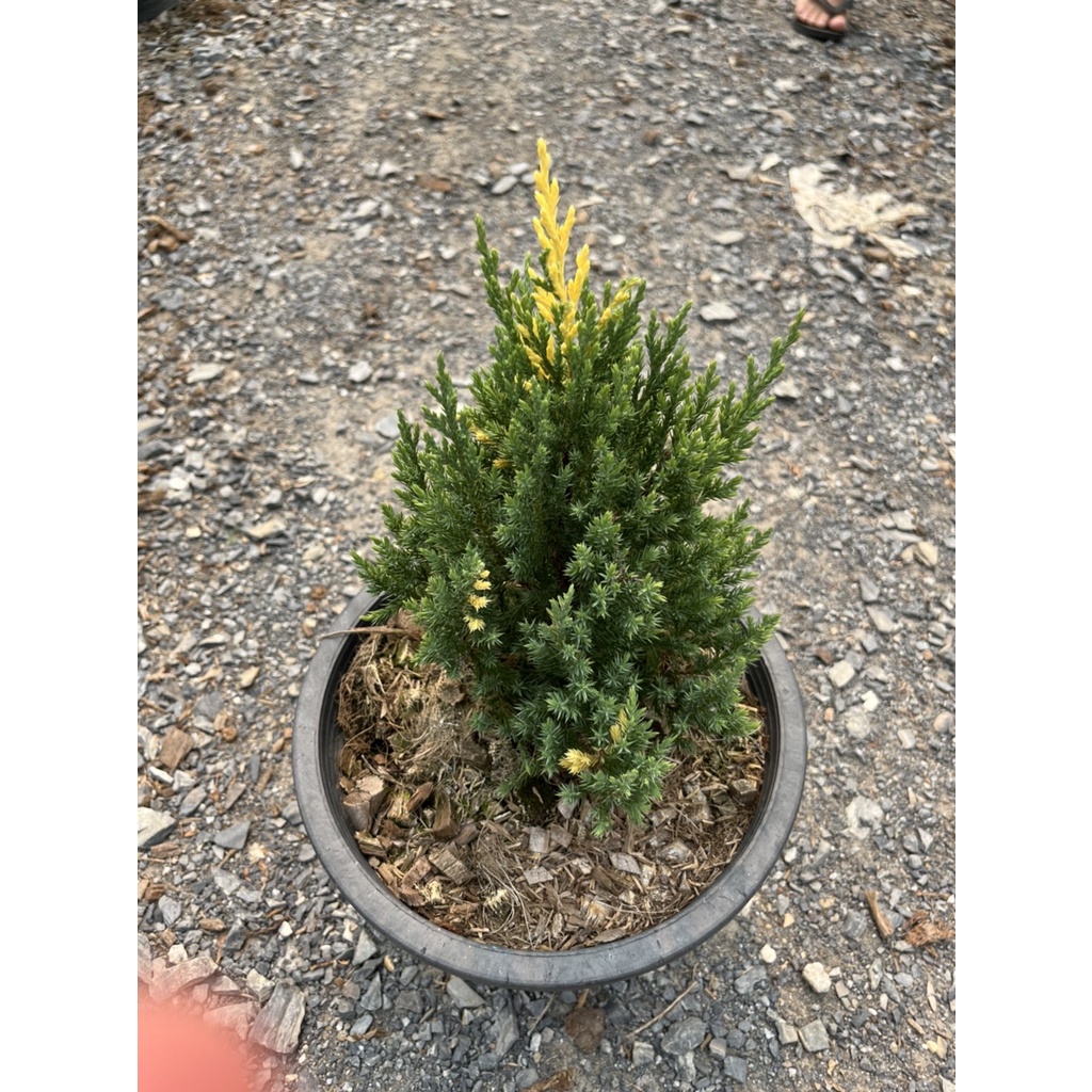 มุมมอง 2