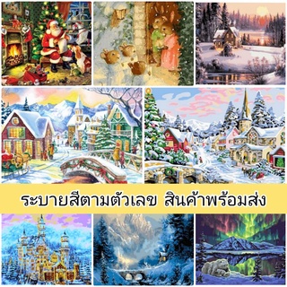 ภาพระบายสีตามตัวเลข ขนาด 40×50 ซม. ขึงเฟรมไม้พร้อมอุปกรณ์