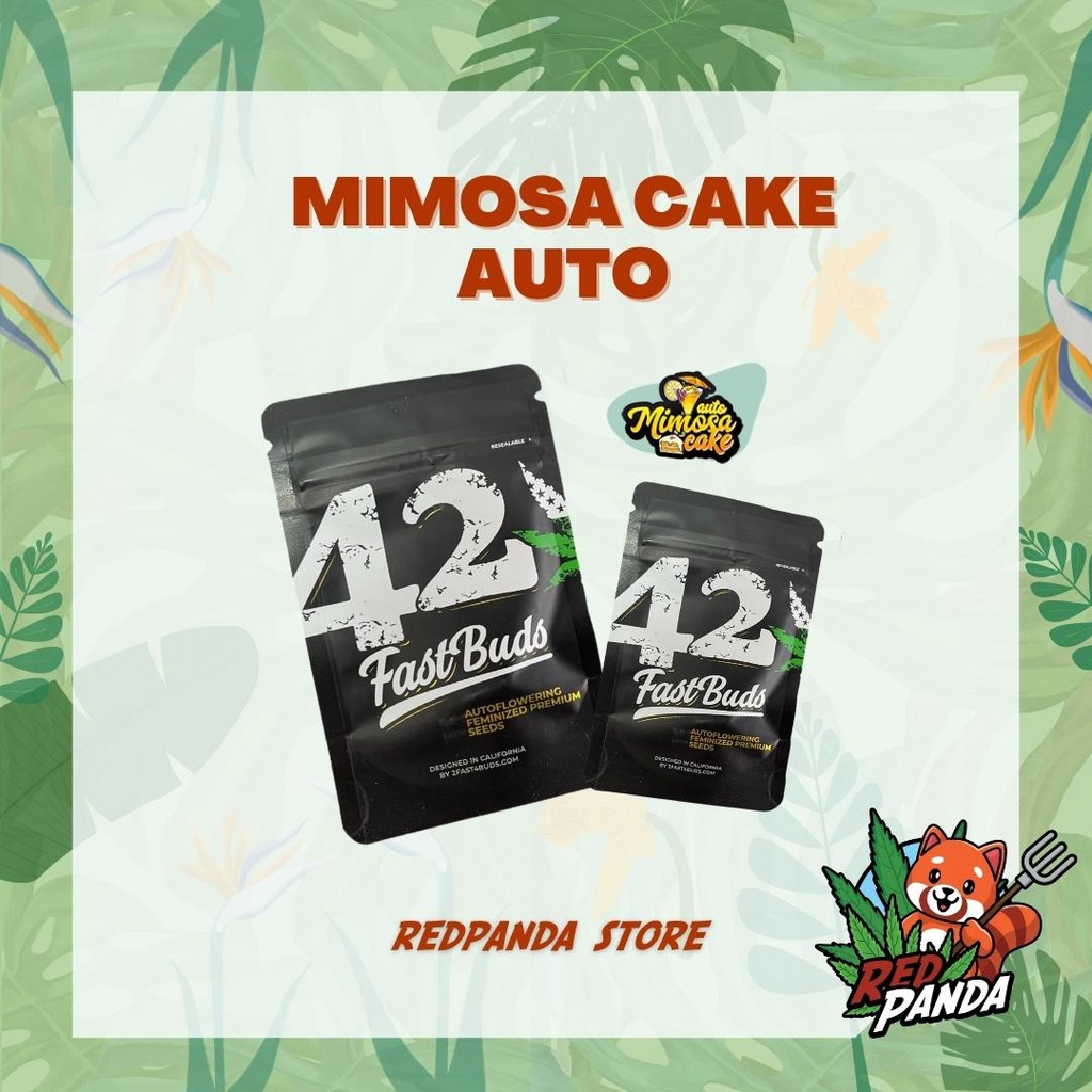 Fastbuds เมล็ดพันธุ์ Mimosa Cake Auto เมล็ดกัญชานอก เมล็ดกัญชาค่าย Fastbuds เมล็ดกัญชา เพศเมีย