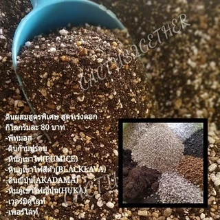 ดินผสมพร้อมปลูกกระบองเพชร ไม้ฟอกอากาศ ไม้ในร่ม ไม้ใบ ไม้ด่าง ดินเพาะเมล็ด ดินกุหลาบ🌹ข