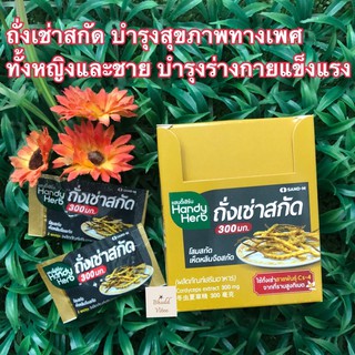 HandyHerb ถั่งเช่าสกัด 300 มก. บำรุงรุ้งร่างกายทุกระบบ ชนิดซอง(2 แคบซูล) พร้อมส่ง