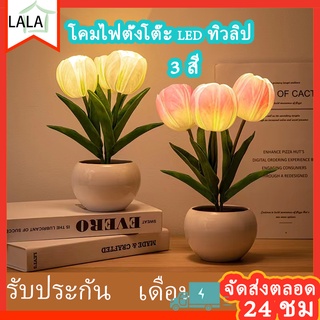 🌷โคมไฟตั้งโต๊ะ led ทิวลิป โคมไฟตั้งโต๊ะไร้สาย โคมไฟหัวเตียง ไฟห้องนอน ไฟโต๊ะอาหาร ไฟตกแต่งห้อง แบตอึดอยู่ได้ 40 ชม