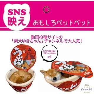 [แท้💯/Pre-Order✈️] Cup Noodle Pet House (Udon)