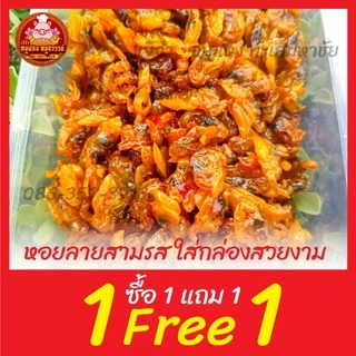 [ฟรี 1แถม1] 🦪 หอยลายสามรส หอยลาย 🦪 ราคาถูกกว่าแบบกระป๋องในเซเว่น!! สด อร่อย หวาน มัน จากทะเลไทยมหาชัย