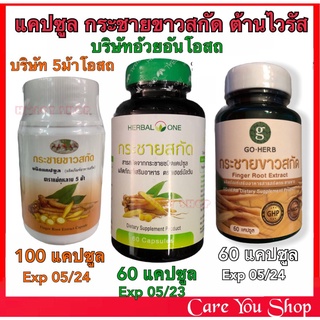 exp05/23 อ้วยอันโอสถ Herbal one/ธันยาพร/ห้าม้า กระชายขาวสกัดแคปซูล Finger Root Extract 60 แคปซูล กระชายขาว100% พร้อมส่ง