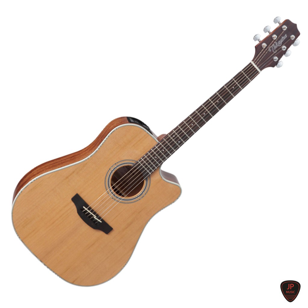 Takamine GD20CE