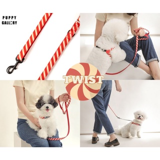 Puppy Gallery Line up Leash สายจูงสัตว์เลี้ยง สายจูงสุนัข และแมว ดีไซน์คุณภาพจากเกาหลี