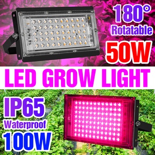 ไฟปลูกต้นไม้ Led Grow Light 220V เต็มสเปกตรัม Hydroponics โคมไฟ 50W 100W Greenhouse Seed Flowe โคมไฟและอุปกรณ์ให้แสงสว่าง