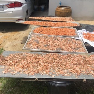 [กดซื้อลดอีกเยอะมาก]กุ้งแห้งจันทบุรี กรอบ (จืด)ไม่เค็ม กุ้งธรรมชาติ(กุ้งนาในคลอง) สะอาดปลอดภัย100%หายาก ทำยากมาก อร่อย
