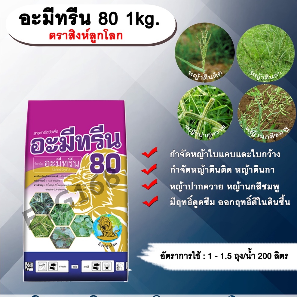อะมีทรีน 80 1kg. เอ็มซีลูกโลก/สิงห์ลูกโลก อะมีทรีน อามีทรีน สารกำจัดวัชพืช กำจัดหญ้า ใบแคบและใบกว้าง แบบดูดซึม ชนิดผง กำ