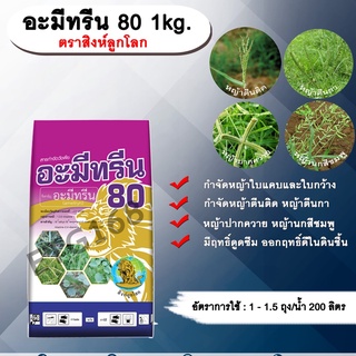 อะมีทรีน 80 1kg. ตราสิงห์ลูกโลก อะมีทรีน อามีทรีน สารกำจัดวัชพืช กำจัดหญ้า ใบแคบและใบกว้าง แบบดูดซึม ชนิดผง กำจัดหญ้า