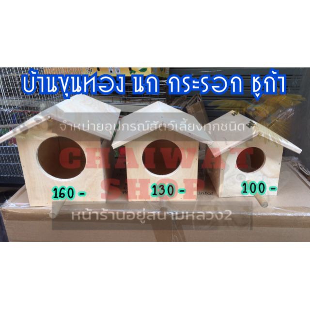 My Image 19