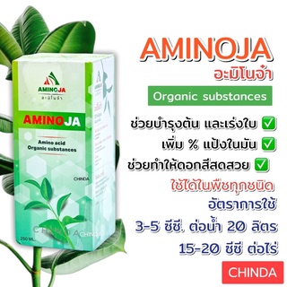 AMINOJA(อะมิโนสกัดเข้มข้น) ช่วยเร่งต้น เร่งใบ