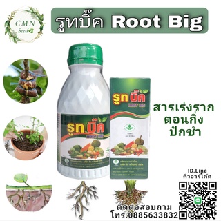 สารเร่งรากรูทบิ๊ค Root Big