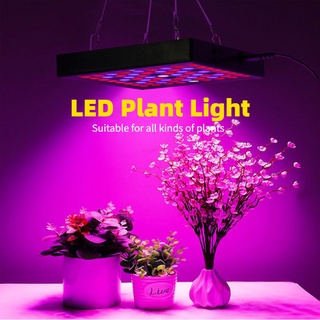 ไฟLED ไฟ Grow Light 50W 169LED 220V ไฟปลุกต้นไม้ ไฟช่วยต้นไม้โตเร็ว แถมสายไฟให้ 1/PCS