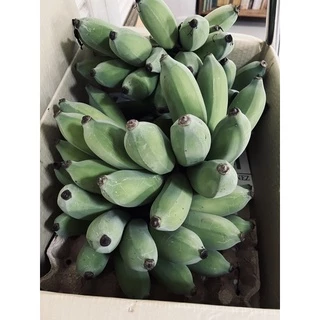 ปุ๋ยอินทรีย์มูลค้างคาว ชนิดเม็ด แบ่งขาย 6-3-3 (3กิโล)