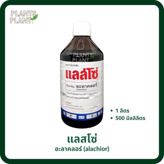 อะลาคลอร์ (alachlor) แลสโซ่ กำจัดวัชพืช เช่น หญ้านกสีชมพู หญ้าตีนนก หญ้าตีนกา หญ้าตีนติด และหญ้าขจรจบดอกเหลือง ผั