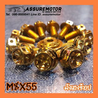 น็อตเลสทอง M8X55 หัวเจาะดาว