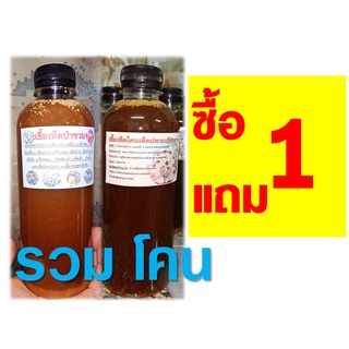 เชื้อเห็ด (รวม โคน ) 1 ชุด 2 ขวด