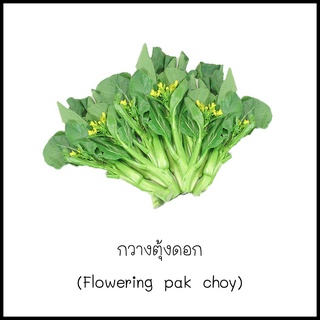 เมล็ดกวางตุ้งดอก (Flowering pak choy) 200 เมล็ด [10 แถม 1 คละได้]