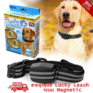 สายจูงสุนัข Lucky Leash ไซส์L/XL 36-80 lbs