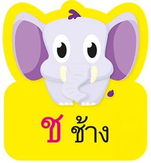 MISBOOK การ์ดหนูน้อยเก่งภาษาไทย ชุด พยัญชนะไทย ก-ฮ