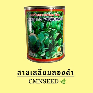 เมล็ดพันธุ์ คะน้ายอด ยอดกุมาร ( YODKUMARN )