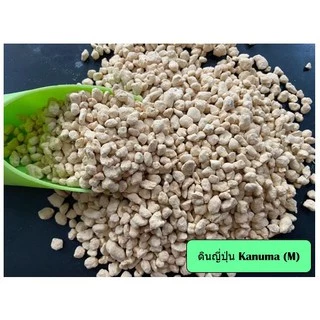 ✅ดินญี่ปุ่น คานูมะ Kanuma 500กรัม (แบ่งบรรจุ)