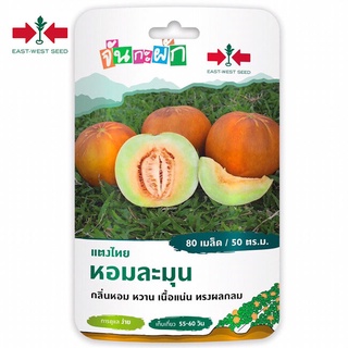 แตงไทย  จันกะผัก หอมละมุน 80เมล็ด ศรแดง