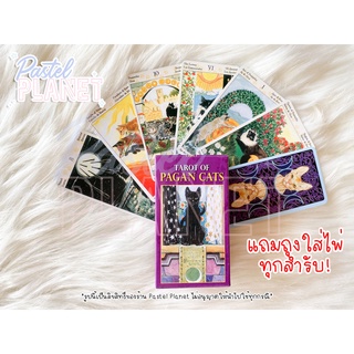 [พร้อมส่งในไทย🇹🇭] แถมคู่มือไทย/อังกฤษ  Tarot of Pagan Cats ไซส์ Mini ไพ่ยิปซี ไพ่ทาโรต์