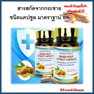 #สารสกัดจากกระชายชนิดเเคปซูล#กระชายขาว#พร้อมส่ง วันพุธนี้จร้า🔥🔥 มีจำนวนจำกัด!!🔥📢📢