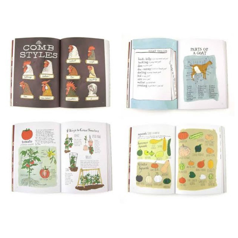 The Julia Rothman Collection : Farm Anatomy, Food Anatomy, Nature ...