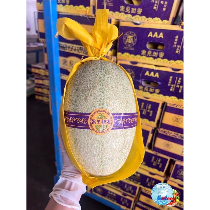 เมล่อนเนื้อส้ม แคนตาลูป MELON นำเข้าจากต่างประเทศ CHN ลูกใหญ่ หอม หวาน อร่อยกรุบ +++ แถม FREE ถุงน้ํ