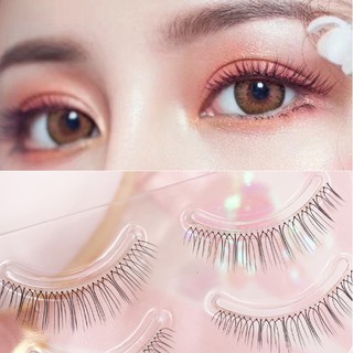 ขนตาปลอมธรรมชาติ ขนตาเจ้าสาว ขนตานางฟ้า ขนตาธรรมชาติสวยเหมือ…