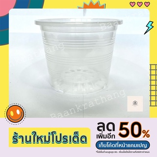 กระถางต้นไม้พลาสติกใส ขนาด 6"
