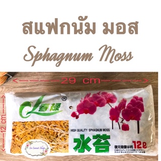 สแฟกนัมมอสแห้ง(Sphagnum Moss) 12 L มอสขาว