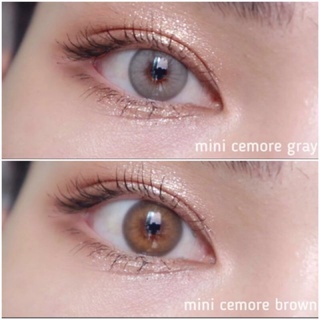 👑Mini Cemore Brown/Gray👑สายตาปกติถึง-5.00,-5.50,-6.00,-6.50(kitty kawaii)