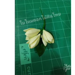 ดอกจำปีดอกไม้เสียบผม