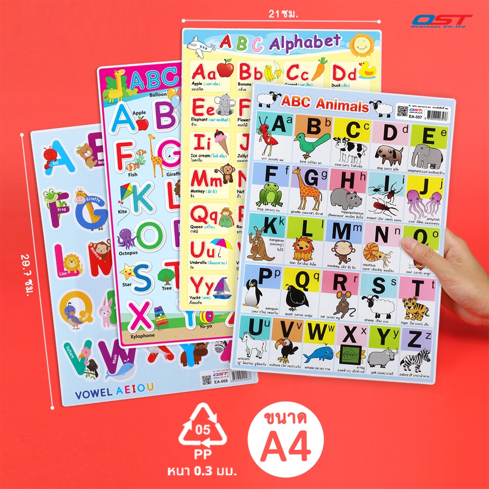 แผ่นความรู้พลาสติก ขนาด A4 ( แบบหัดอ่าน A-Z, ABC Fruits & Vegetables, ABC animals , แบบฝึกอ่าน A-Z, ABC Alphabet)