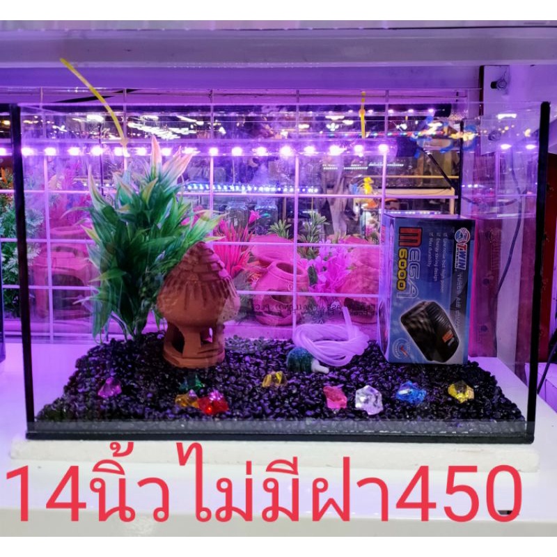 ชุดตู้ปลาขนาดเล็กรวมอุปกรณ์ของตกแต่ง