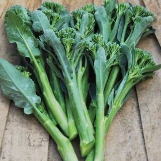 เมล็ด เบบี้บล็อคโคลี่ - Green Sprouting Broccoli