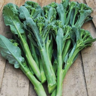 เมล็ด เบบี้บล็อคโคลี่ - Green Sprouting Broccoli