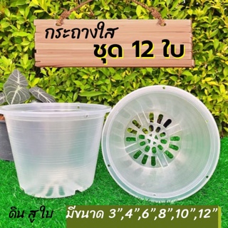 ชุด 12 ใบ กระถางใส มองเห็นการเติบโตของราก