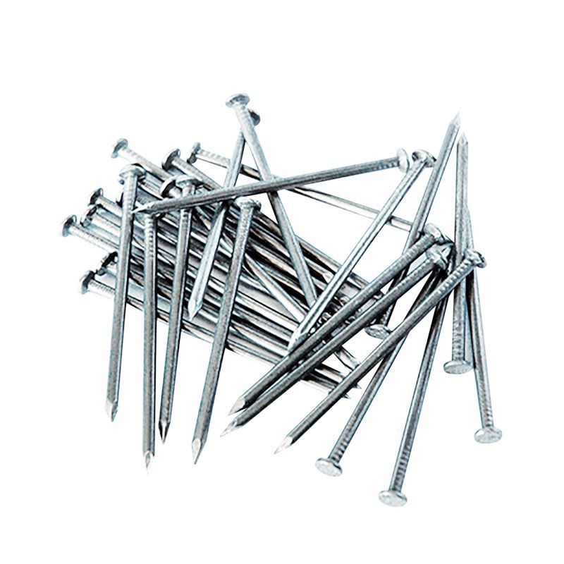 ตะปู ตะปูตีไม้ ตะปูตอกไม้ ทุกขนาด Nail | Shopee Thailand