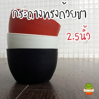 กระถางแคคตัสกลม 2.5 นิ้ว เนื้อหนา กระถางกระบองเพชร กระถางพลา…