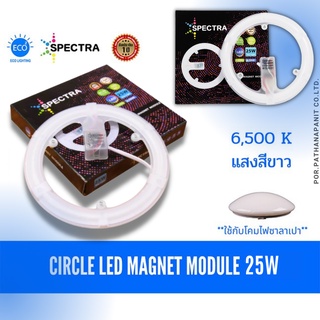 หลอดแผงกลม ซาลาปา 25วัตต์ LED LED magnet light ไฟวงกลมติดเพดาน ขนาด 25วัตต์ แสงขาว✅พร้อมส่ง