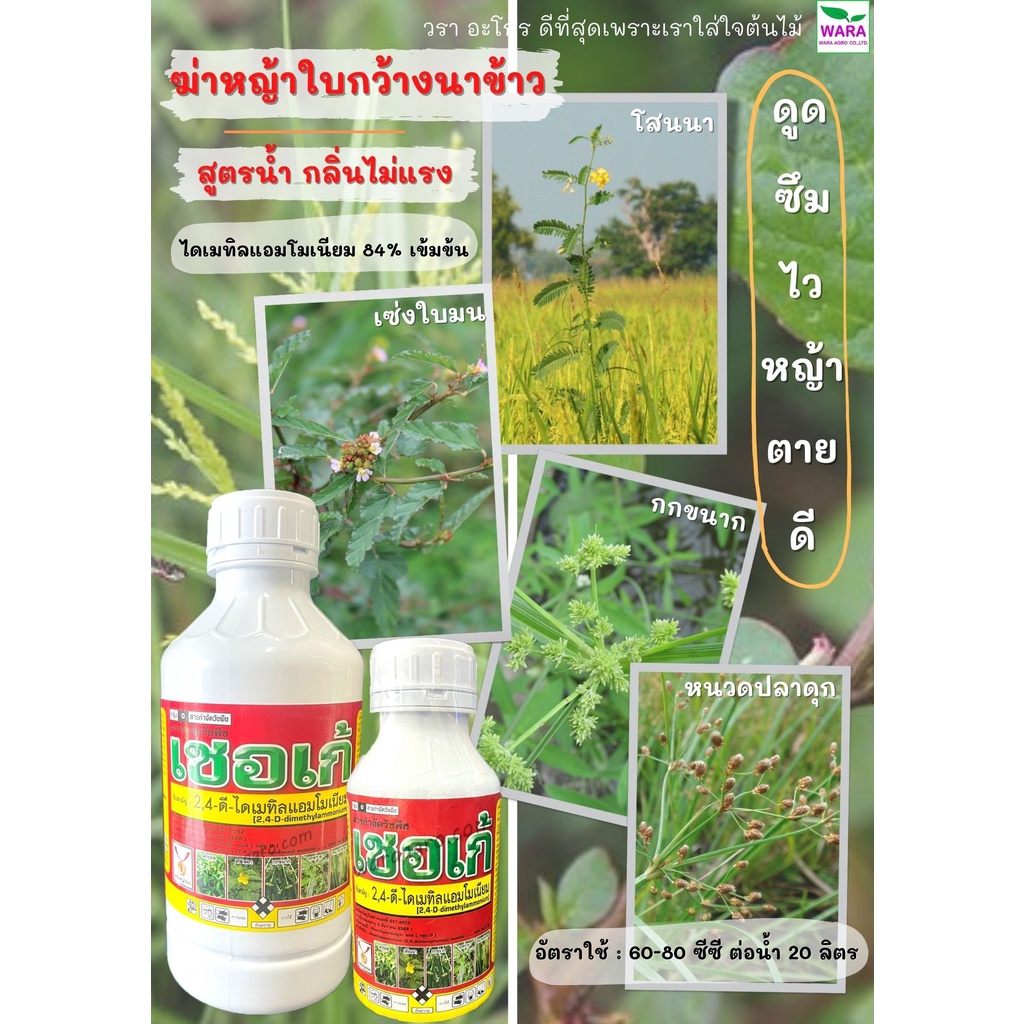 ฆ่าหญ้าใบกว้างนาข้าว โสนนา ผักพริก ผักปอด ผักบุ้ง ผักเบี้ย กกทราย กกขนาก แห้วหมู กลิ่นไม่แรง หญ้าตายดี 2,4 D เชอเก้
